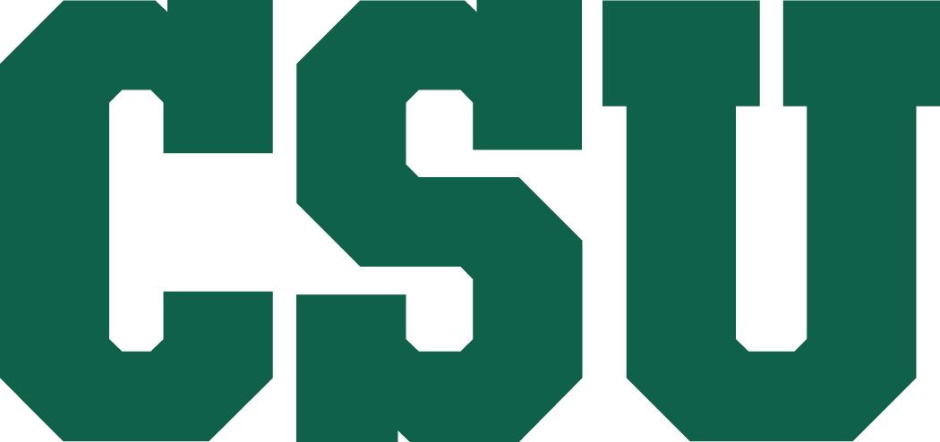 Colorado State Rams 1993-2014 Secondary Logo iron on transfers for fabric